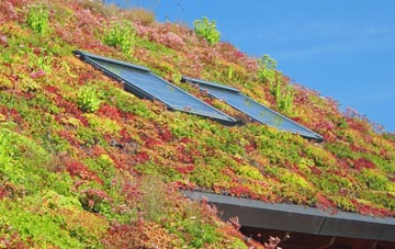 Rhydymwyn living roof systems
